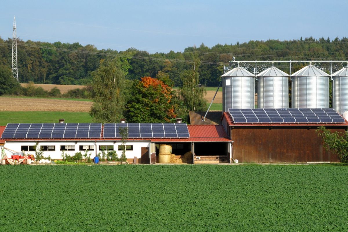 Energie rinnovabili in agricoltura: bando Parco Agrisolare